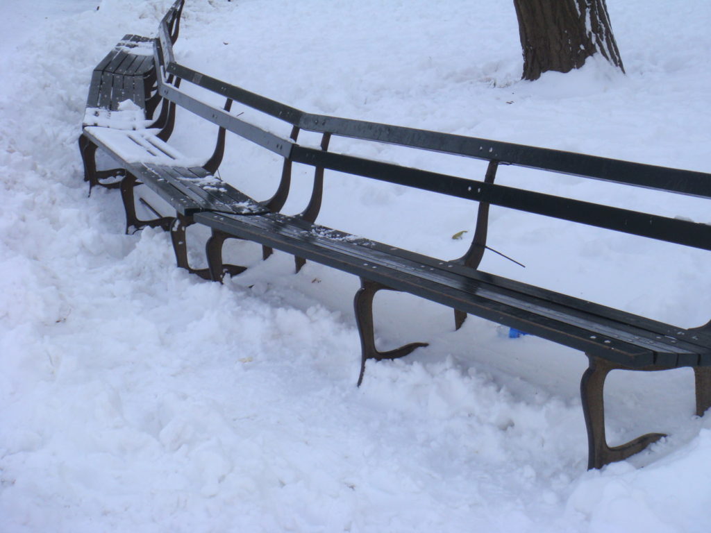 Snow in Central Park NYC Christmas