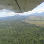 A view from the plane as we flew from Canaima to Ciudad Bolivar.