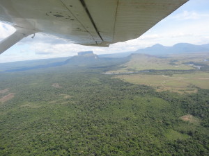 A view from the plane as we flew from Canaima to Ciudad Bolivar.