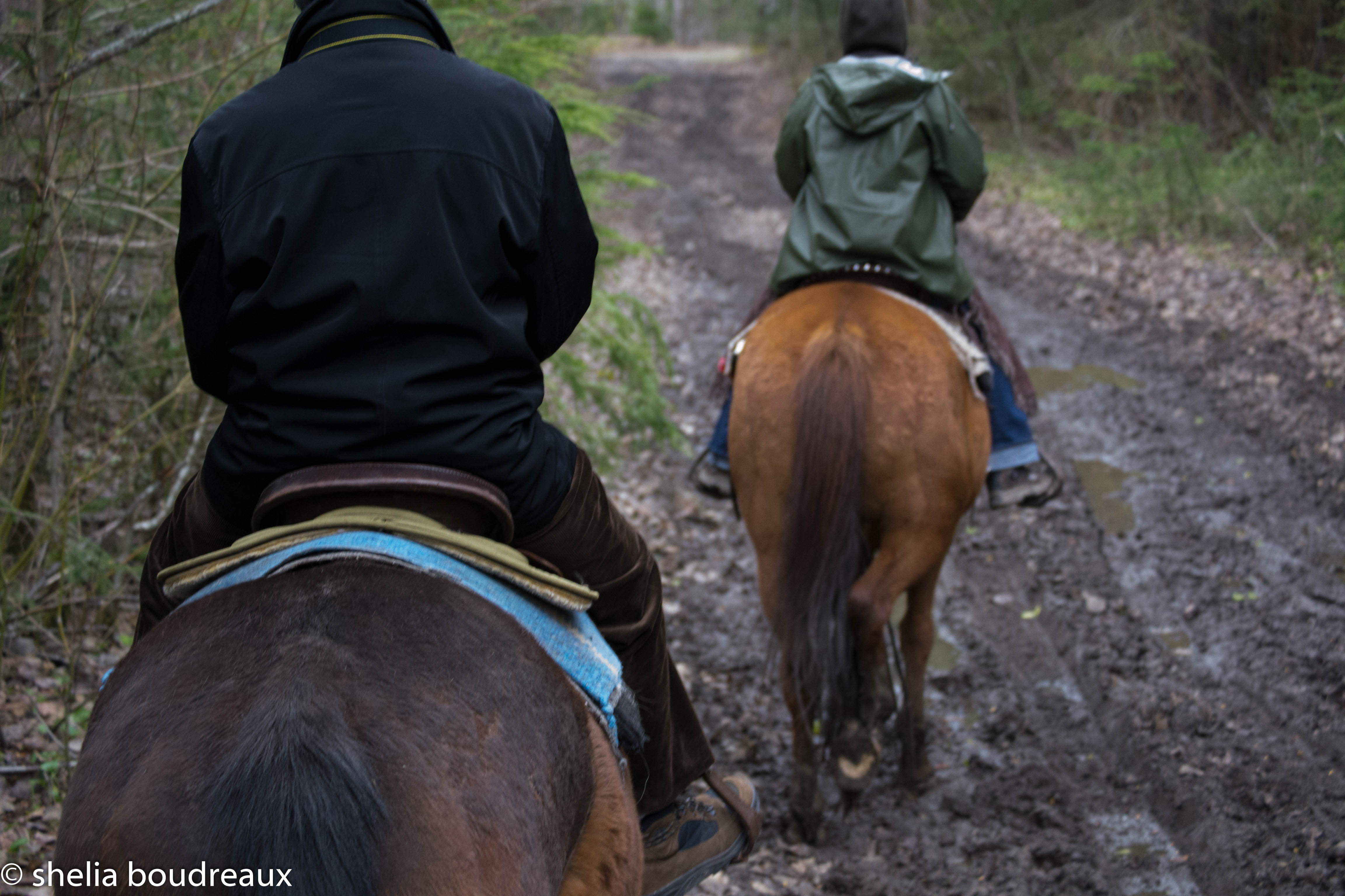 There were many muddy parts but the horses didn't mind!