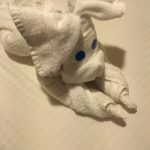 Towel NCL SUn Cruise