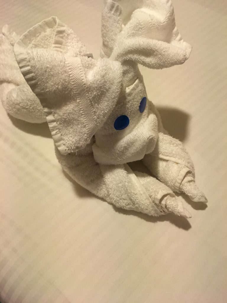 Towel NCL SUn Cruise