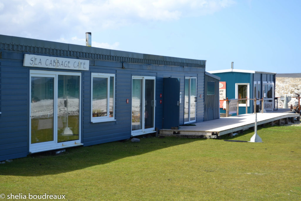 Falkland Islands Sea Cabbage cafe