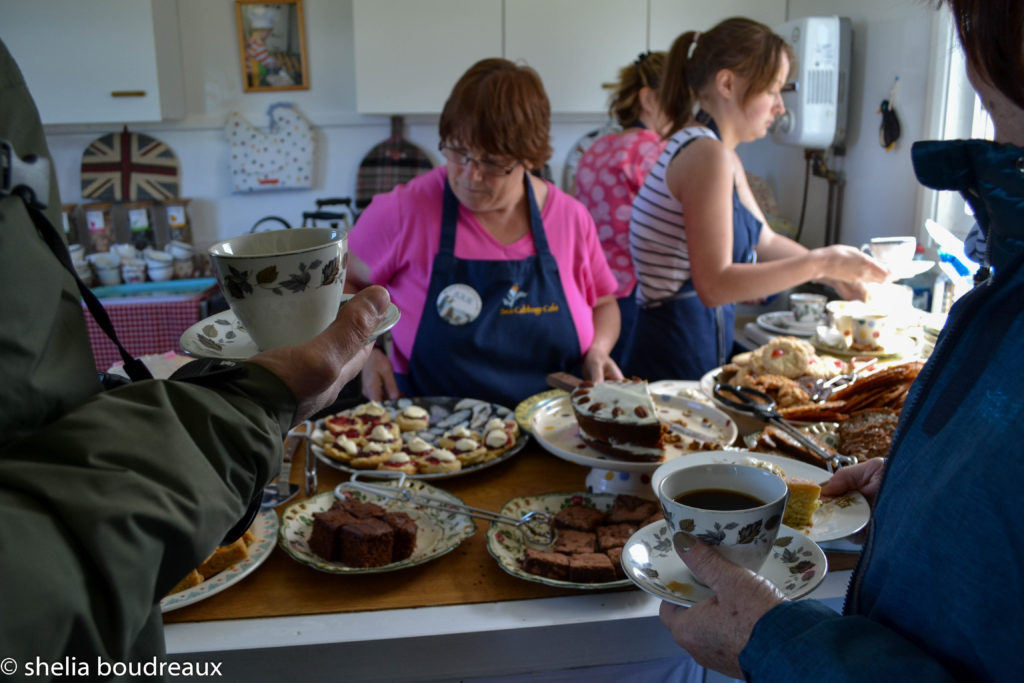 Sea Cabbage Café Falkand Island